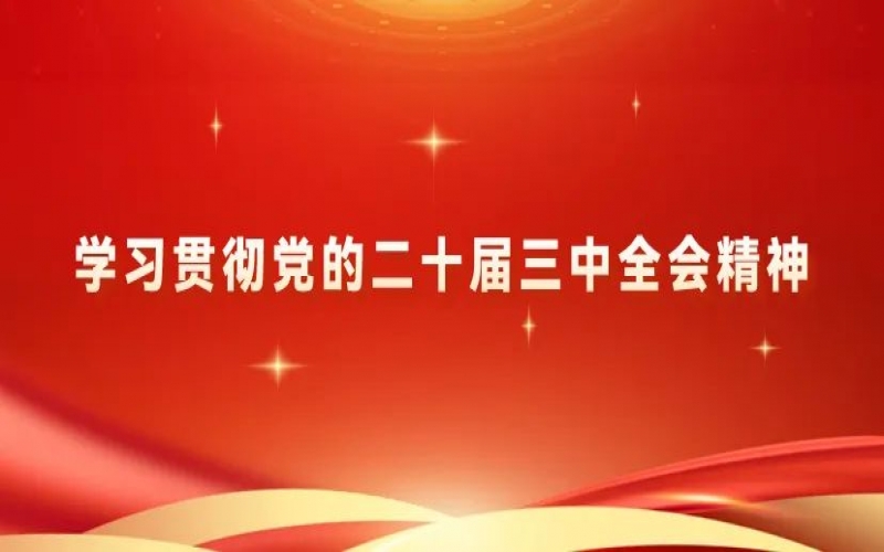 學(xué)習(xí)貫徹黨的二十屆三中全會(huì)精神 - 榮程青年為推進(jìn)中國式現(xiàn)代化挺膺擔(dān)當(dāng)（三）